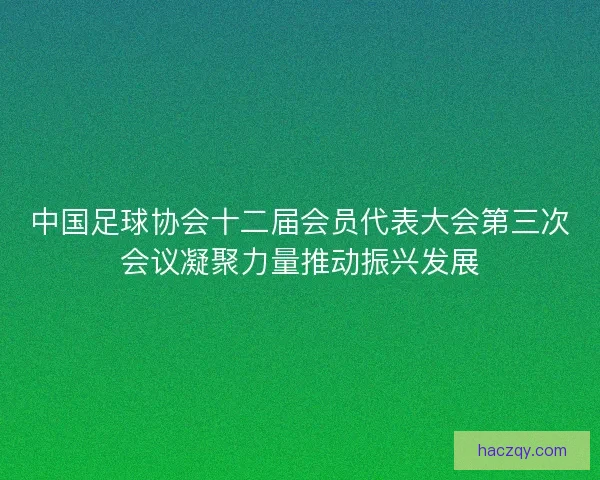 中国足球协会十二届会员代表大会第三次会议凝聚力量推动振兴发展