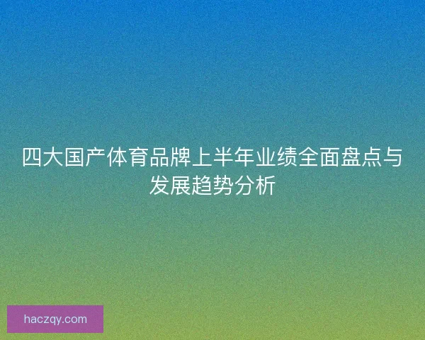 四大国产体育品牌上半年业绩全面盘点与发展趋势分析